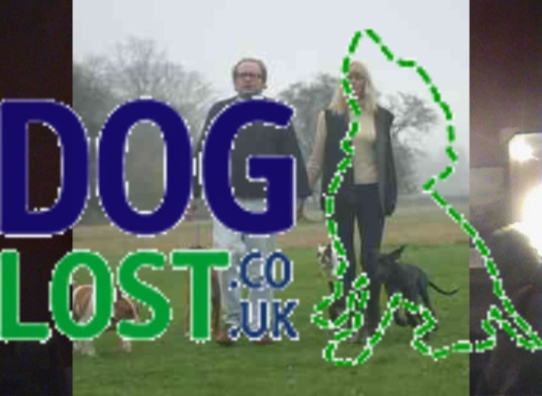 Dog Lost.co.uk Gone are th Dogs by meek joe. Click to play